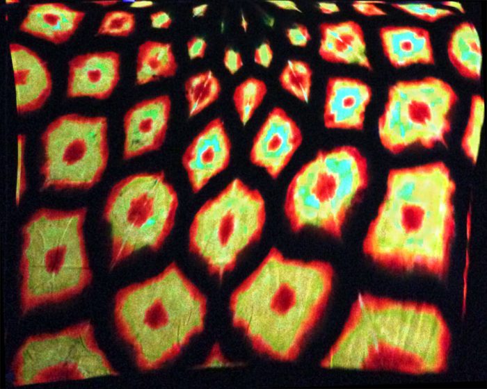 Fire Peacock - Image 2