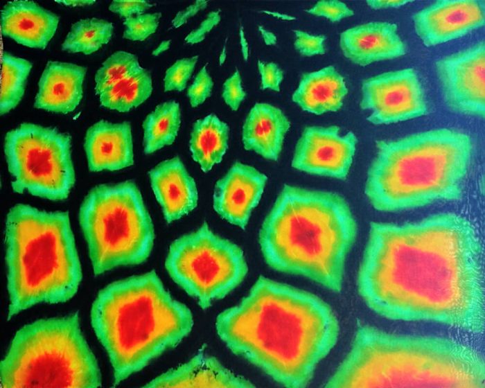 Dragon Skin