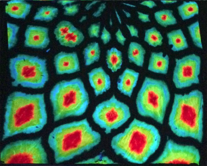 Dragon Skin - Image 2
