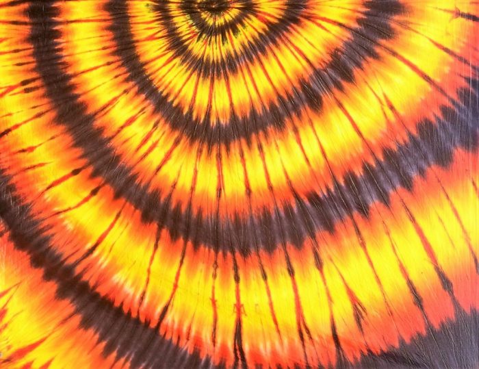 Fire Vortex