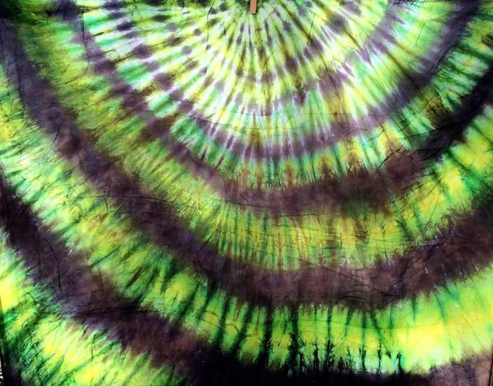 Frog Vortex